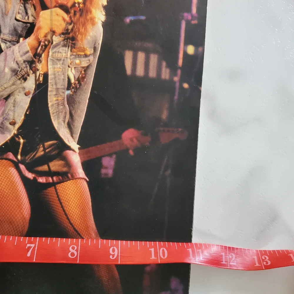 Tina Turner Private Dancer 1985 Concert Tour Program Book